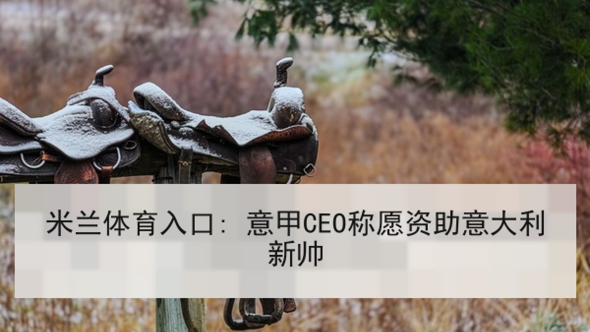 米兰体育入口: 意甲CEO称愿资助意大利新帅 米兰体育入口: 意甲CEO称愿资助意大利新帅